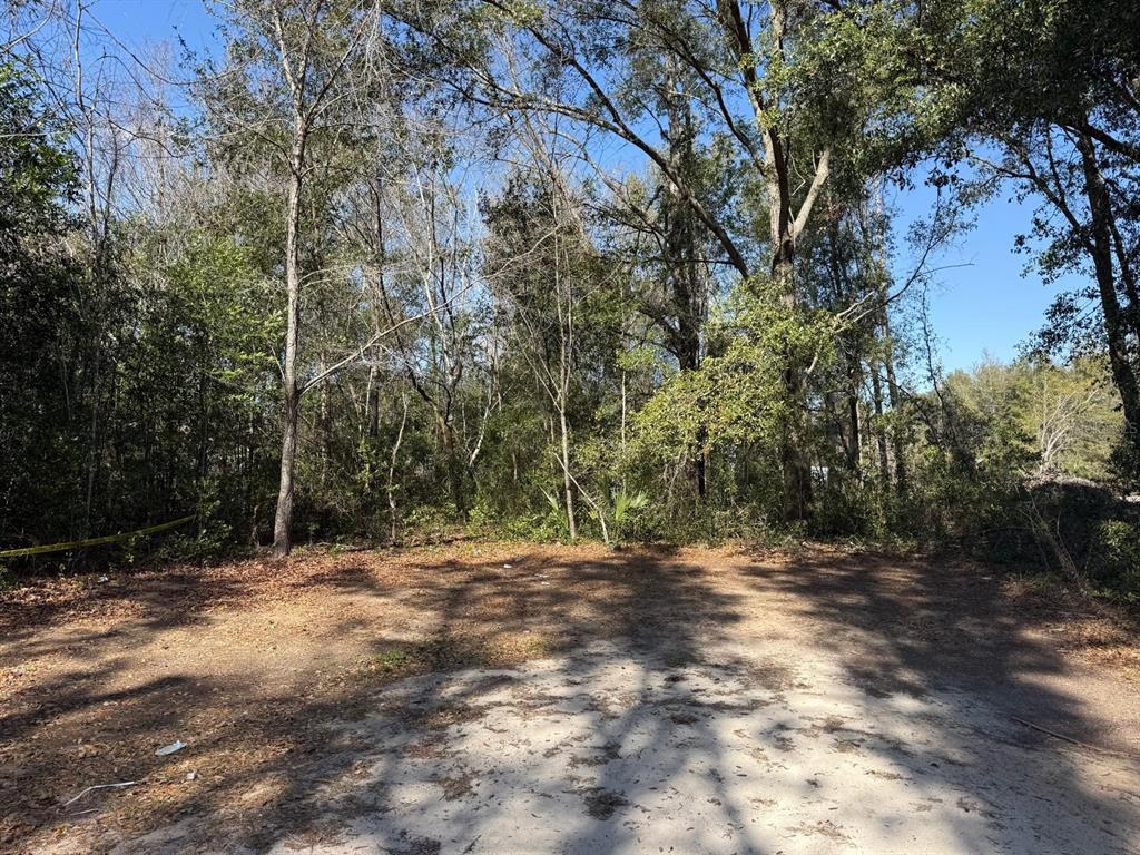 A dirt clearing sits in front of a dense forest of tall trees — 5325 NW 7TH STREET, OCALA, FL