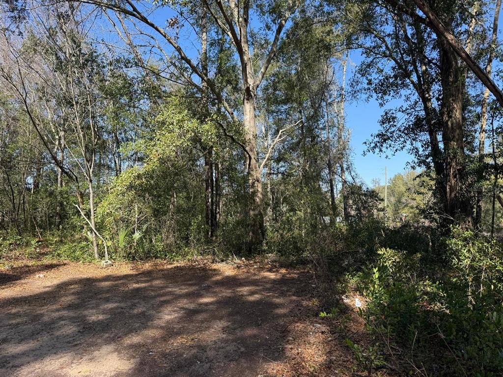 A dirt clearing sits in front of a dense, wooded area under a clear blue sky — 5325 NW 7TH STREET, OCALA, FL