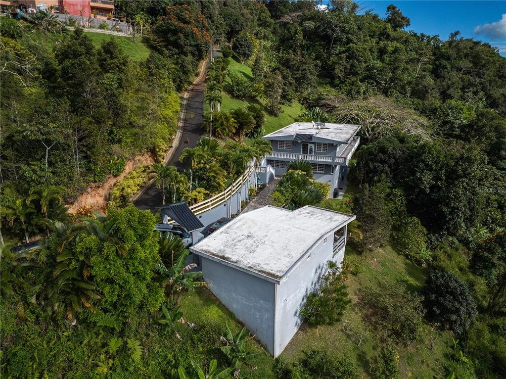 An aerial view shows two gray houses nestled on a lush, steep, tree-covered hillside — Carretera 715 KILOMETRO 3.7, CAYEY, PR