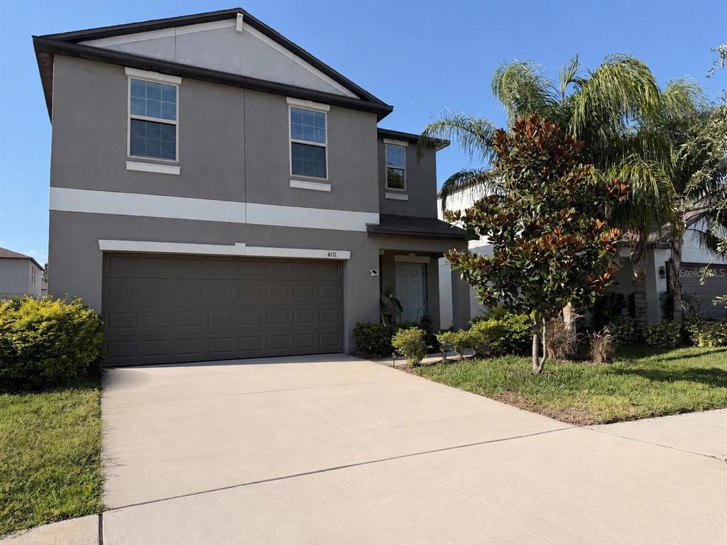 A light blue front door is set within a gray stucco porch with potted plants — 6131 SPRING CRAYFISH AVENUE, NEW PORT RICHEY, FL