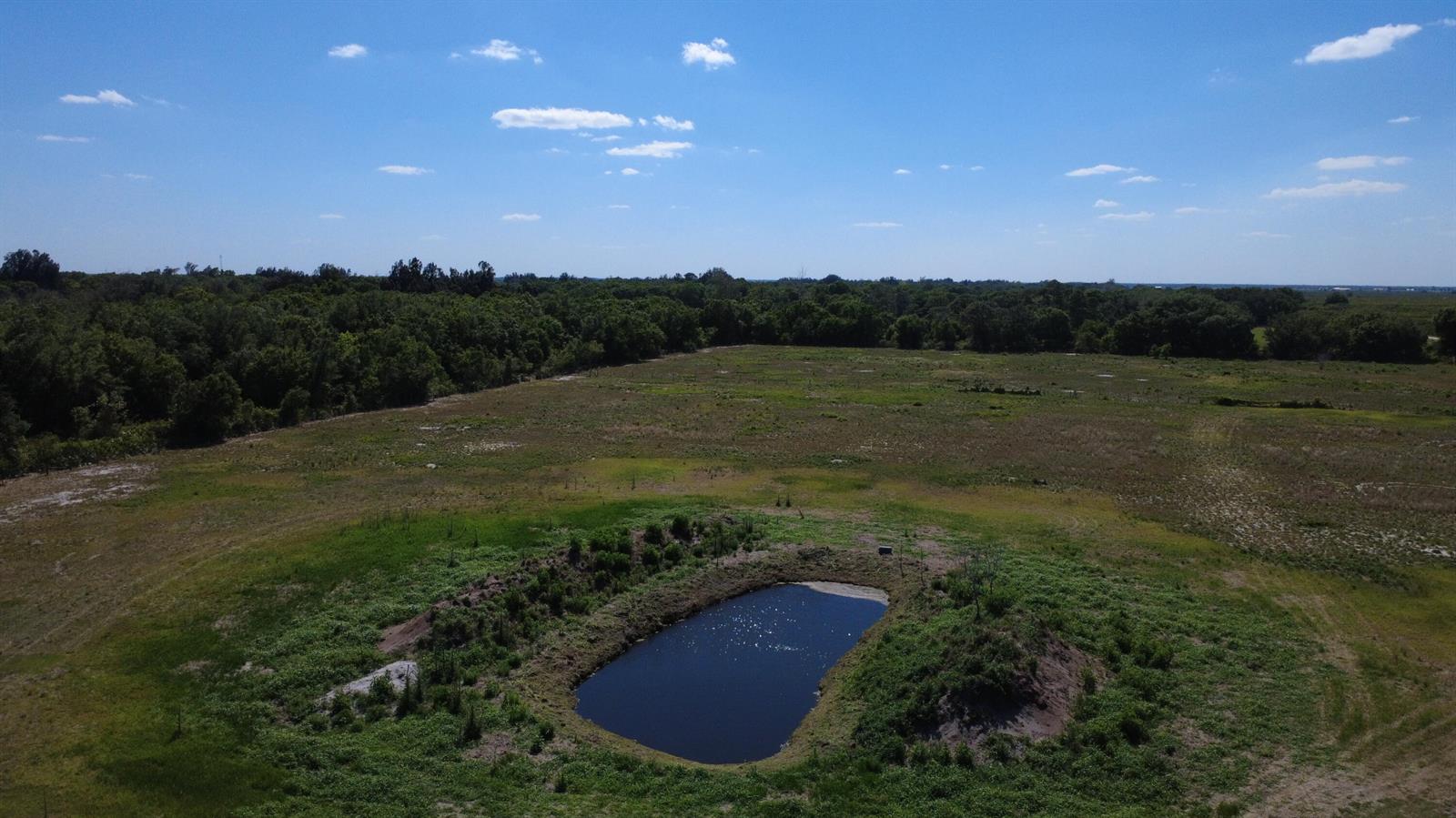An aerial view of a small pond situated in a large, open grassy field — 2615 Bluff Hammock Road, FL 33857, FL