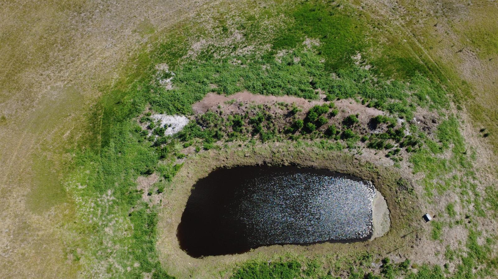 An aerial view shows a small, dark pond surrounded by green grass and sparse vegetation — 2615 Bluff Hammock Road, FL 33857, FL