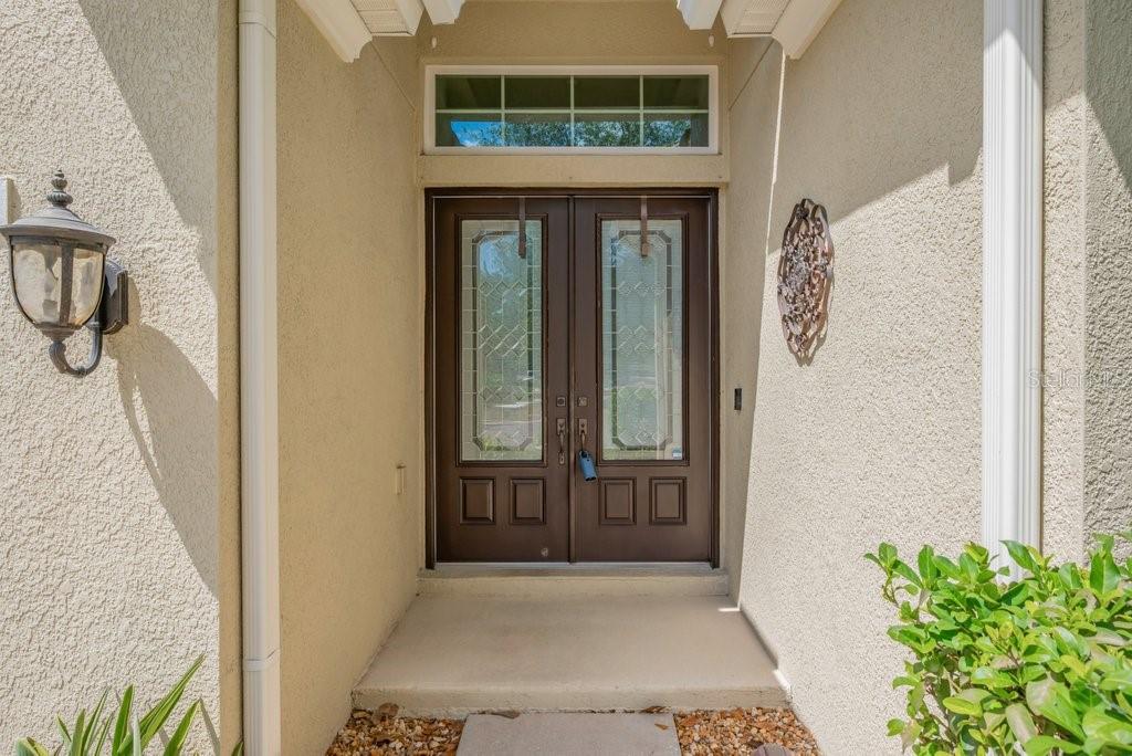 A brown double front door with glass panels sits under a covered entryway — 15409 STARLING CROSSING DRIVE, LITHIA, FL