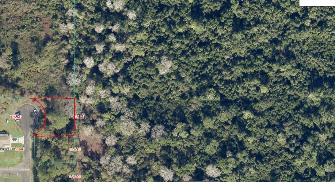 This aerial map shows a residential lot outlined in red within a wooded area — 0 Locust Terrace Place, Ocala FL 34472, OCALA, FL