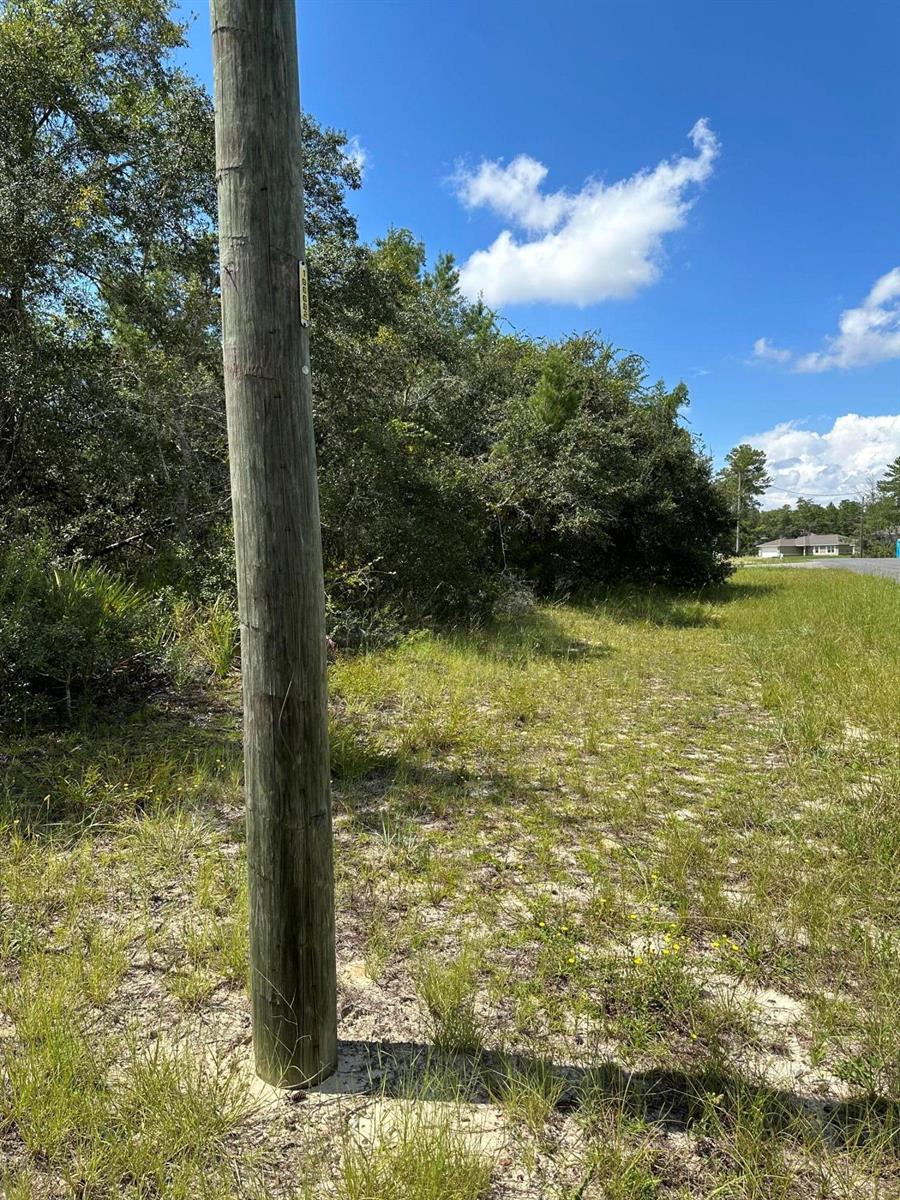0000 SW 168th Loop, FL 34473, FL — photo 3 of 5