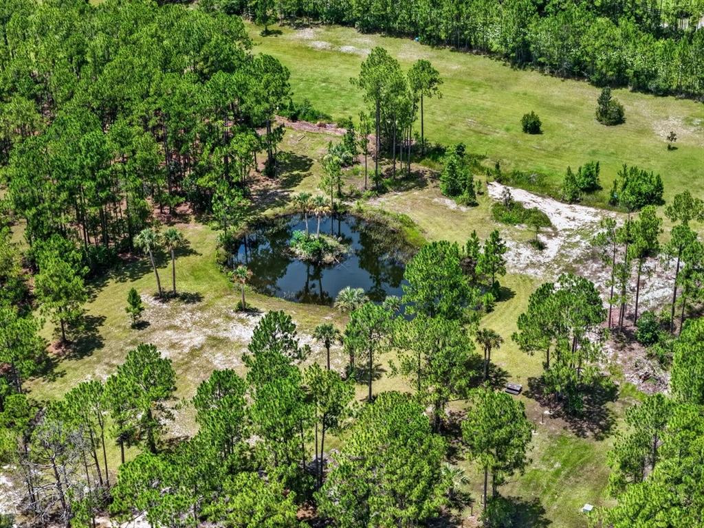 An aerial view shows a small pond surrounded by pine trees and grassy land — 0 TWIN LAKES ROAD, BUNNELL, FL