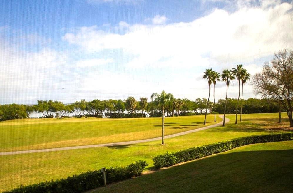 A view of a grassy lawn, palm trees, and a walking path from a screened porch — 2618 COVE CAY DRIVE UNIT 204, CLEARWATER, FL