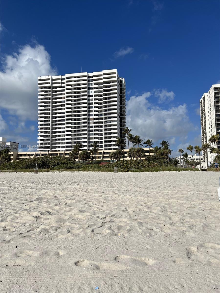 A tall white residential high-rise building stands behind a sandy beach with palm trees — 2555 Collins Ave # 506, Miami Beach FL 33140, MIAMI BEACH, FL