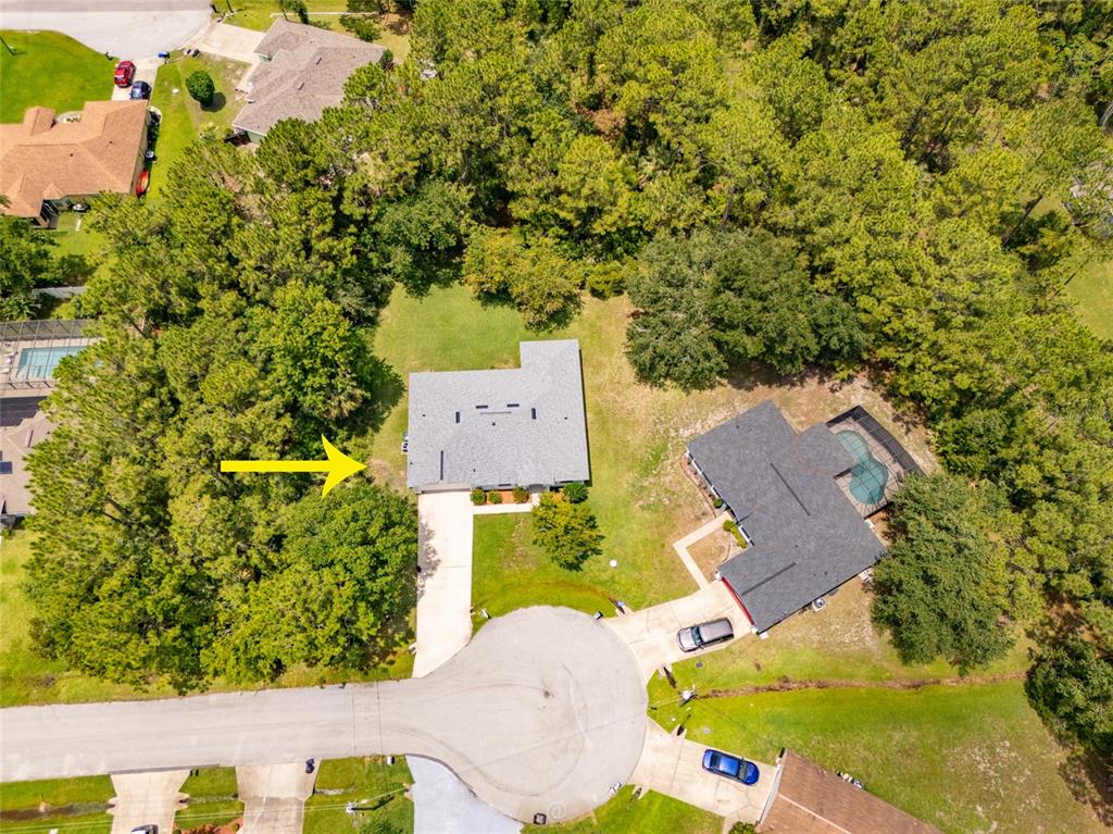 An aerial view shows two houses with driveways and swimming pools surrounded by dense trees — 19 BURRELL PLACE, PALM COAST, FL