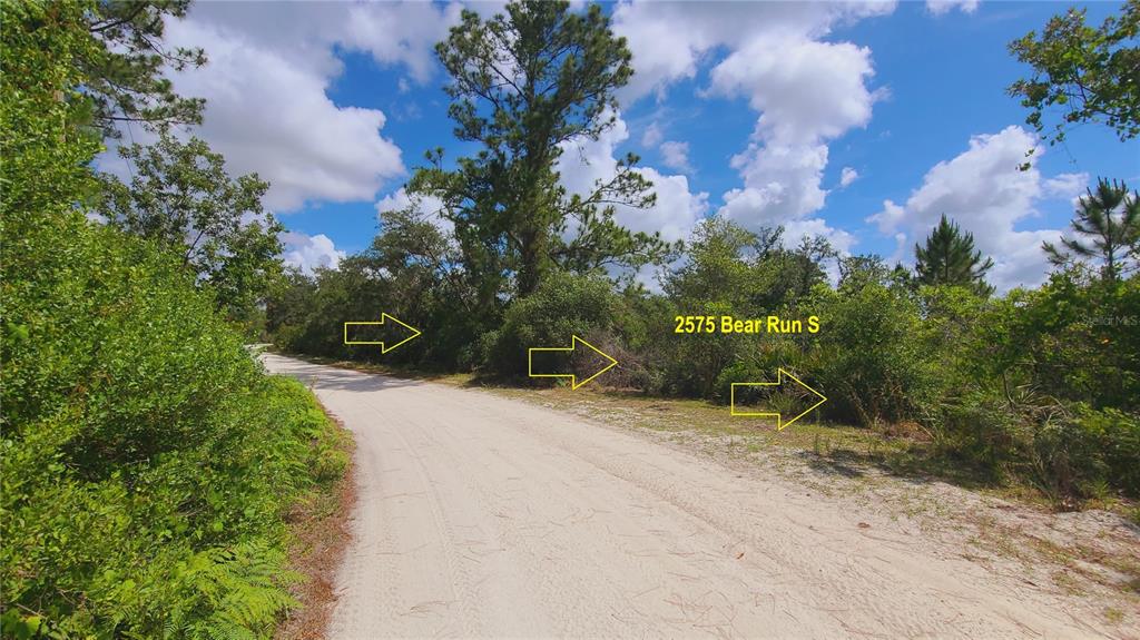 A dirt road curves past a wooded, undeveloped plot of land with dense vegetation — 2575 BEAR RUN S, FROSTPROOF, FL