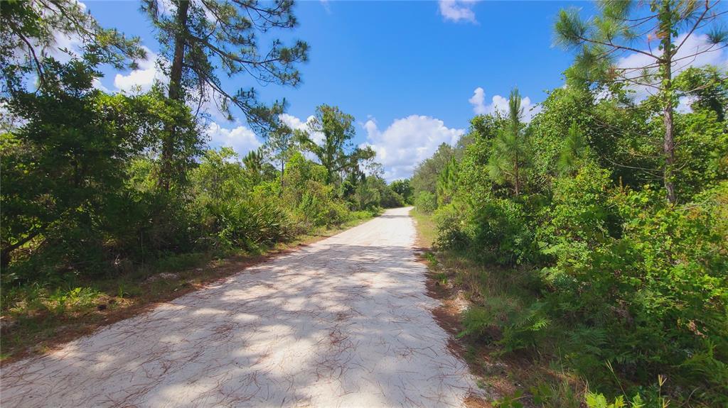 A dirt road winds through a wooded area under a blue sky with scattered clouds — 2575 BEAR RUN S, FROSTPROOF, FL