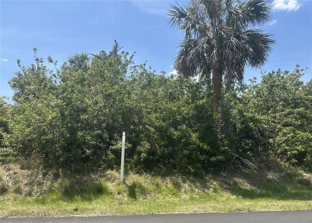 A vacant, overgrown lot with a single palm tree and a white marker post — 4225 SWENSSON STREET, PORT CHARLOTTE, FL