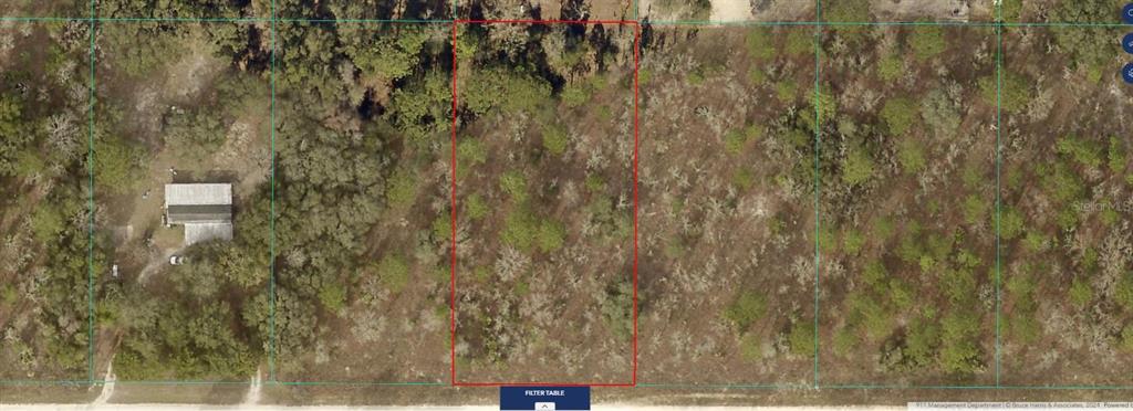 This aerial map shows a rectangular plot of undeveloped land outlined in red — 00 SW 58TH LANE, OCALA, FL