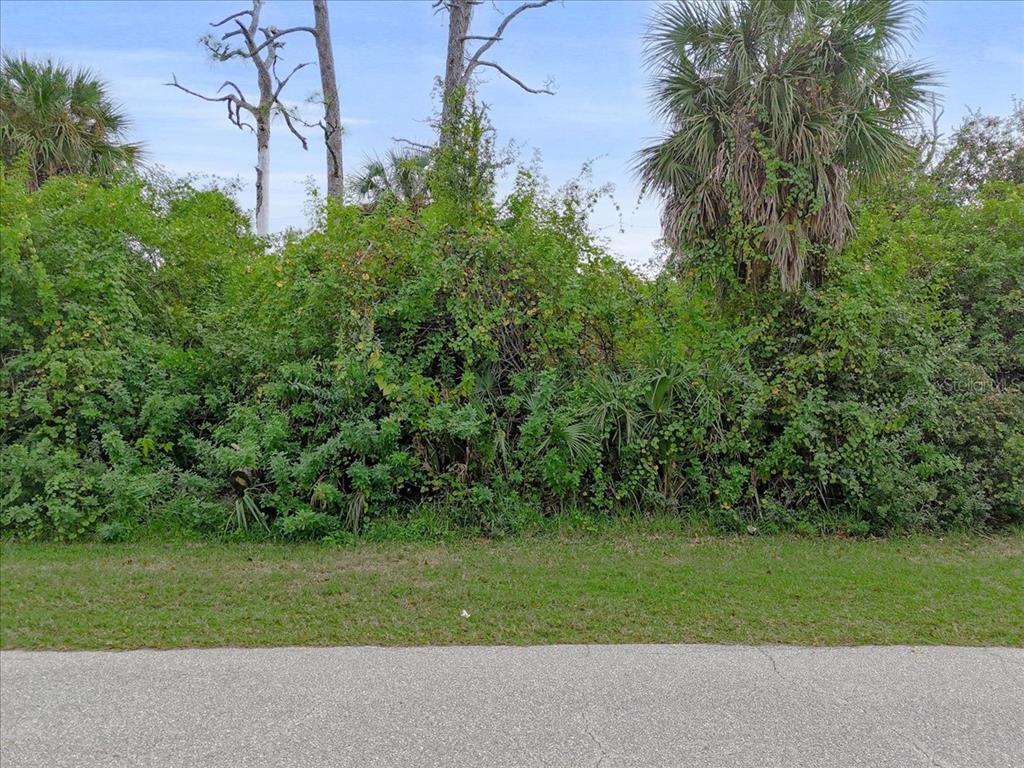 A paved road runs in front of a densely overgrown lot with trees and shrubs — 11947 HELICON AVENUE, PORT CHARLOTTE, FL