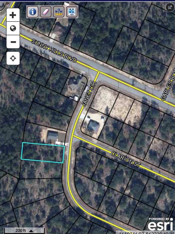 This is a satellite map view showing a vacant, rectangular residential lot outlined in light blue — TBD JANET CIRCLE, CHIPLEY, FL