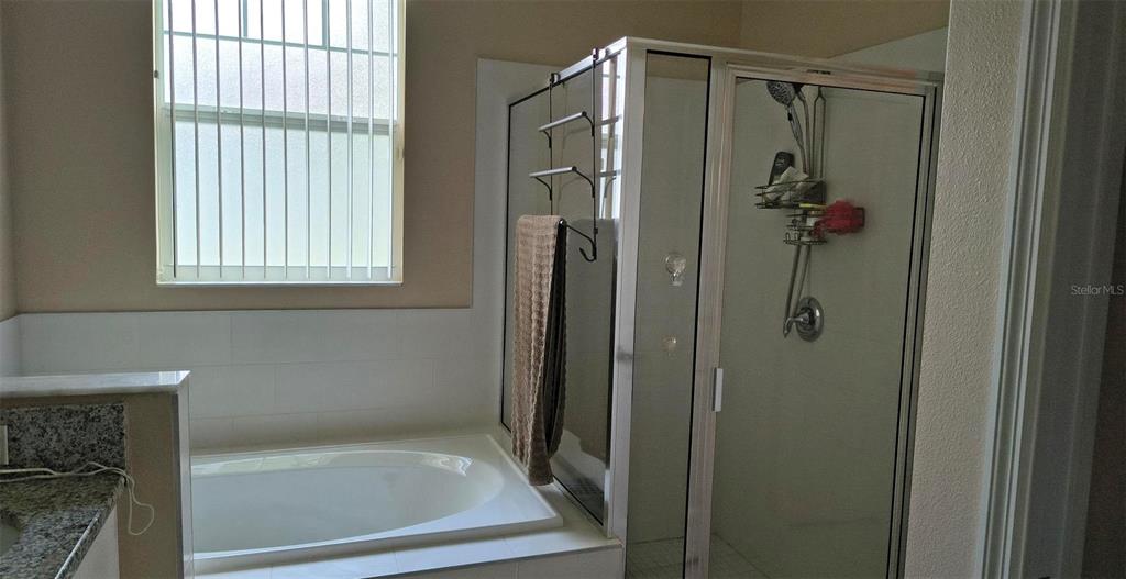 A bathroom features a white soaking tub next to a glass-enclosed walk-in shower — 11300 MOLLYMAWK COURT, NEW PORT RICHEY, FL