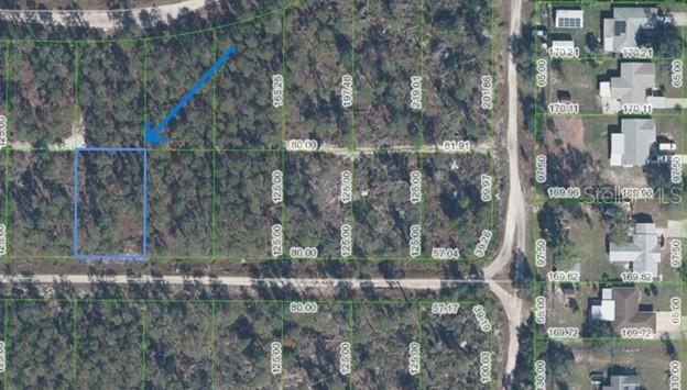 This is a satellite map showing a rectangular plot of land outlined in blue — 430 HUMMINGBIRD AVENUE, SEBRING, FL