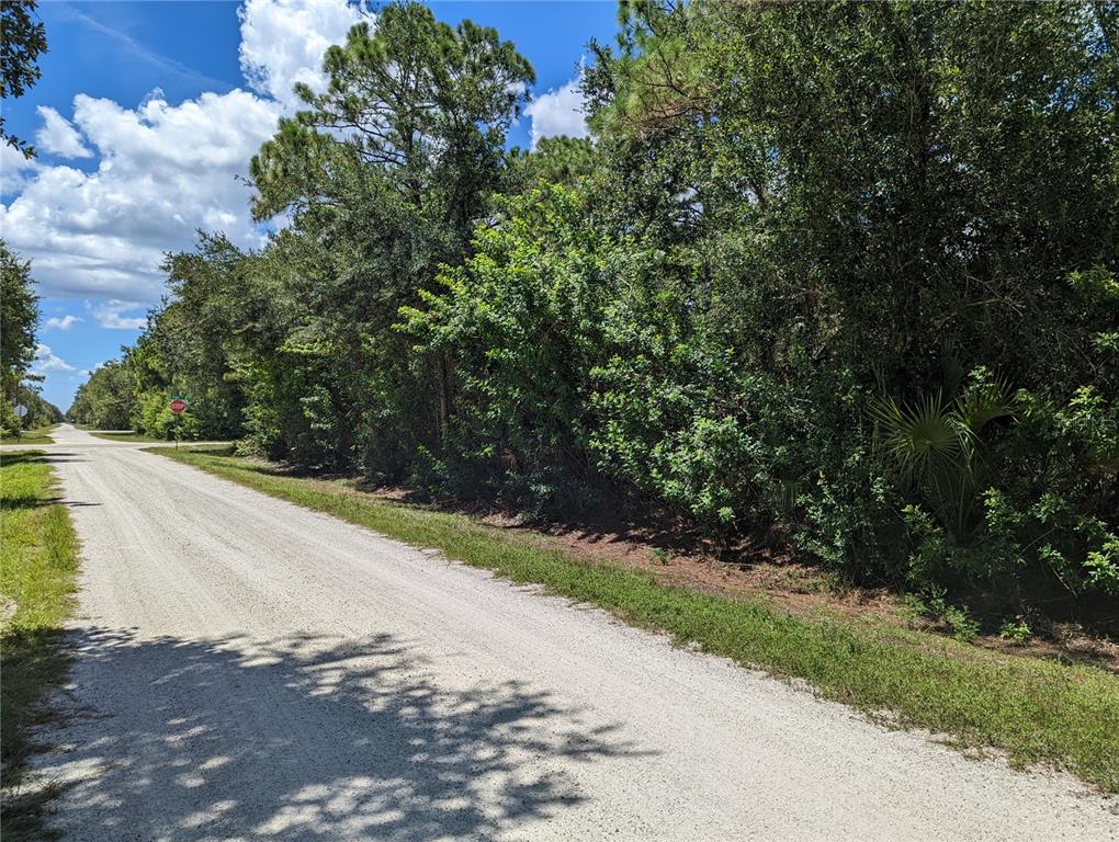 A gravel road runs alongside a dense line of trees and vegetation under a blue sky — 27294 ALOHA DRIVE, PUNTA GORDA, FL
