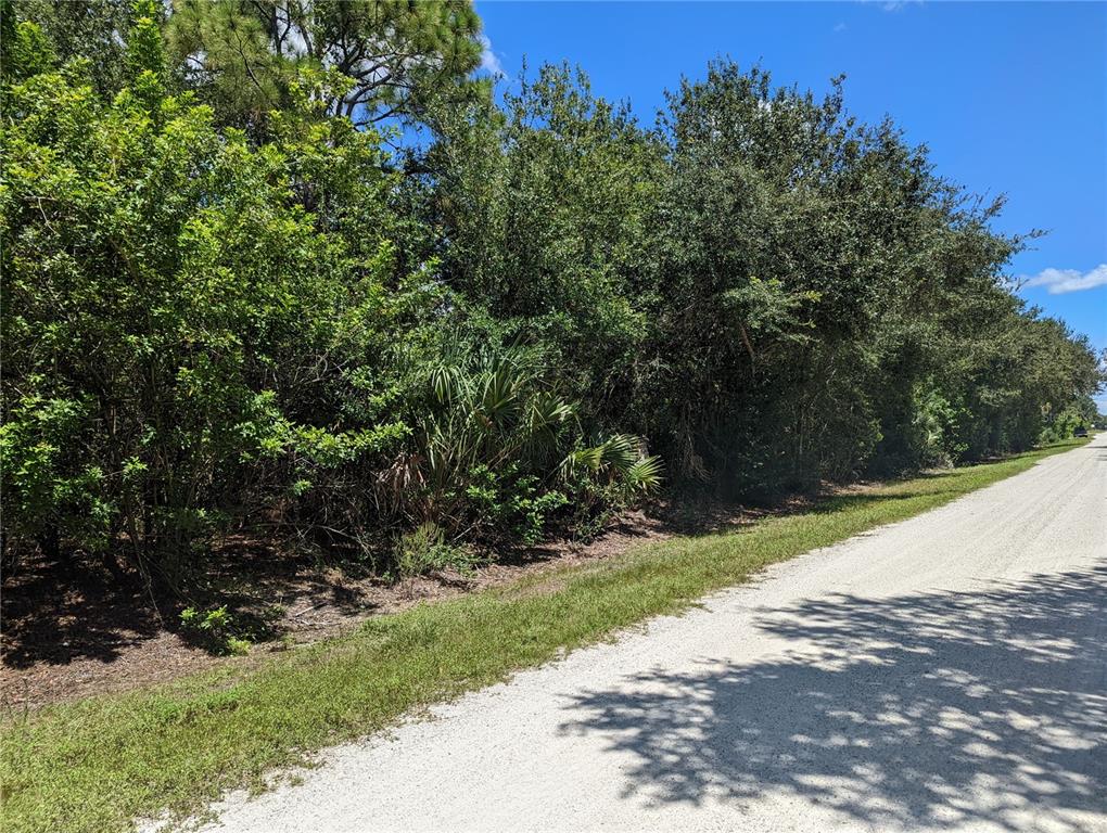 A dirt road runs alongside a dense, wooded lot under a clear blue sky — 27294 ALOHA DRIVE, PUNTA GORDA, FL