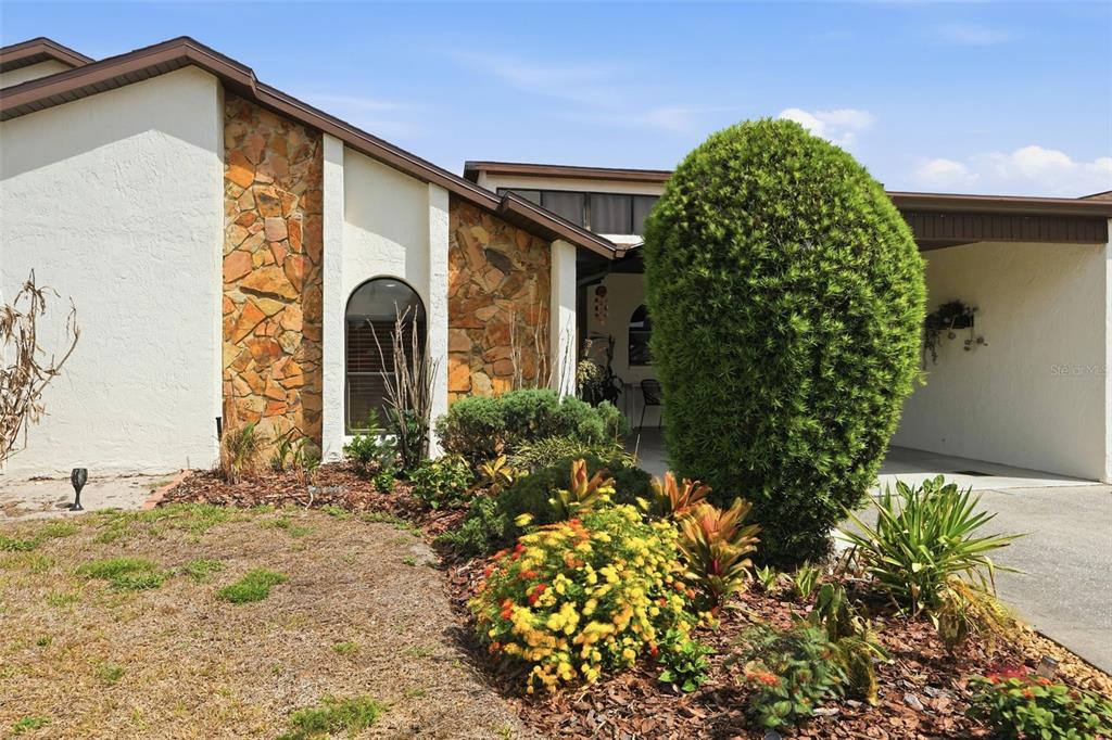 The exterior of a house features a stone facade, a large evergreen shrub, and landscaping — 9143 LINGROVE ROAD, WEEKI WACHEE, FL