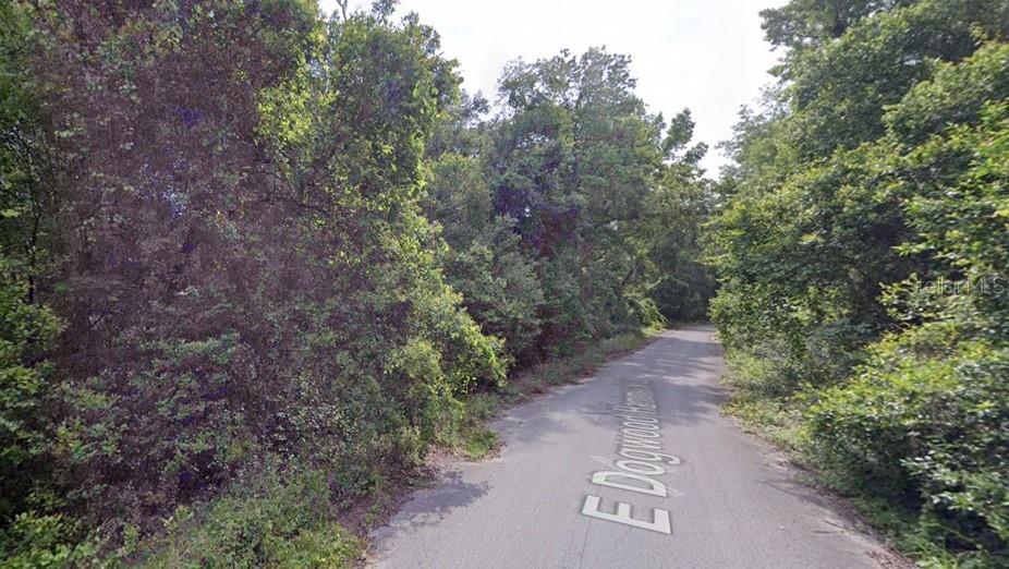A narrow paved road winds through a dense, wooded area with thick green foliage — 6761 E DOGWOOD HAMMOCK DRIVE, INVERNESS, FL