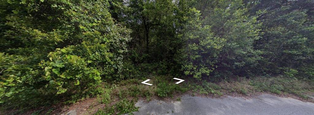 A dense, wooded vacant lot is bordered by a paved road in a residential area — 6761 E DOGWOOD HAMMOCK DRIVE, INVERNESS, FL