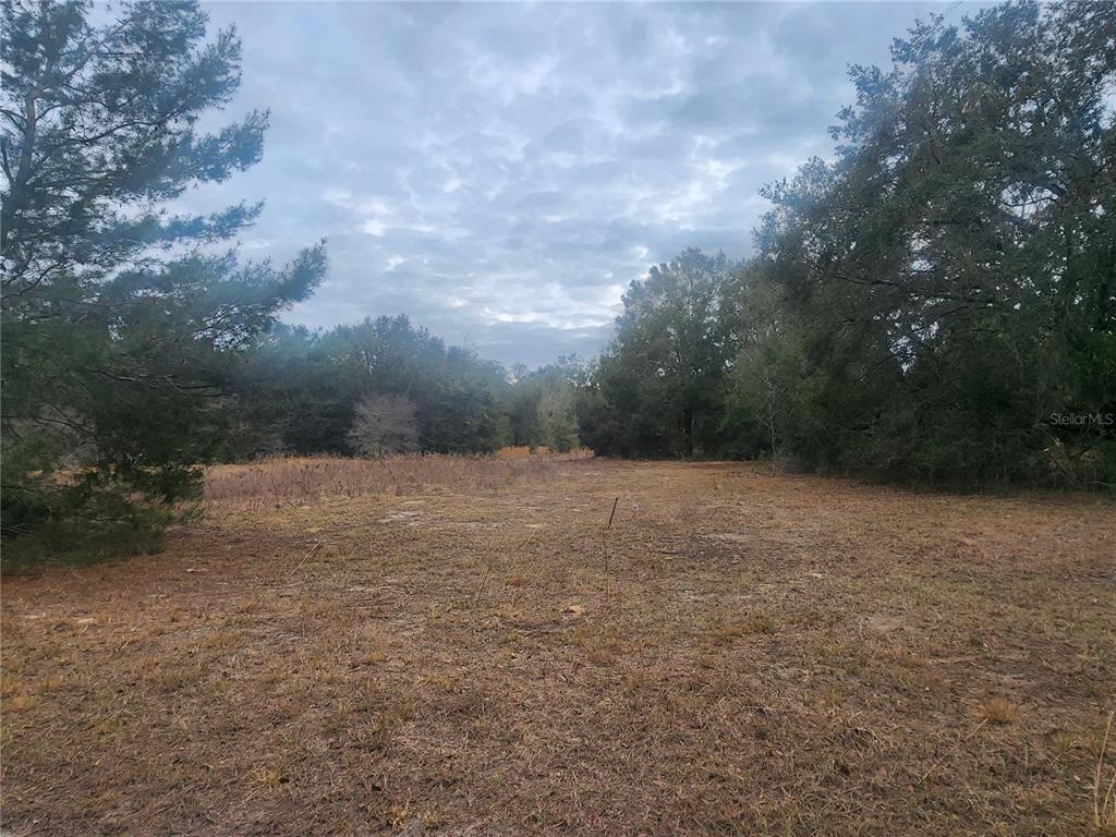 A wide, grassy clearing is surrounded by dense trees under a cloudy sky — 2407 JACKSON STREET, INVERNESS, FL