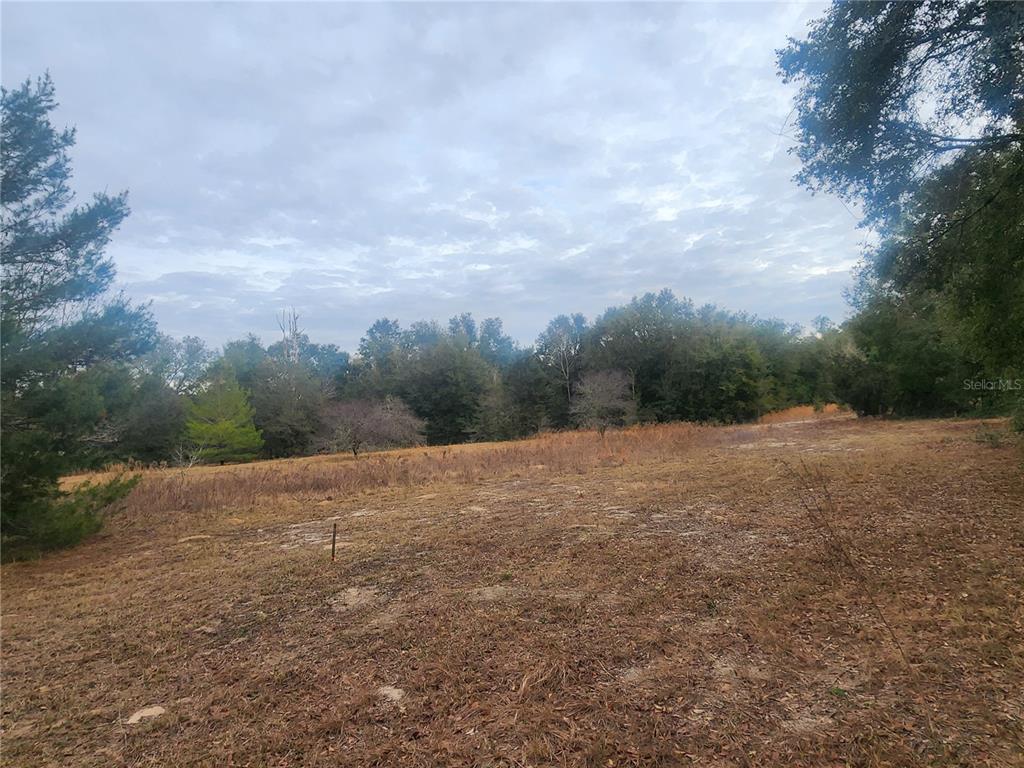 A large, open, grassy lot is surrounded by a dense line of trees under a cloudy sky — 2407 JACKSON STREET, INVERNESS, FL