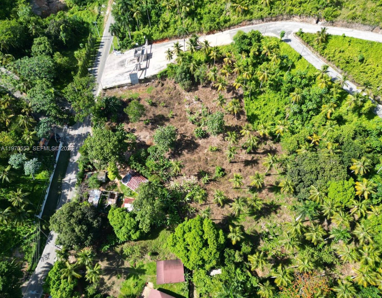 An aerial view shows a large, partially cleared plot of land with scattered palm trees — 000 7CWM+V4G Las Terrenas, Dominican Republic, FL, FL
