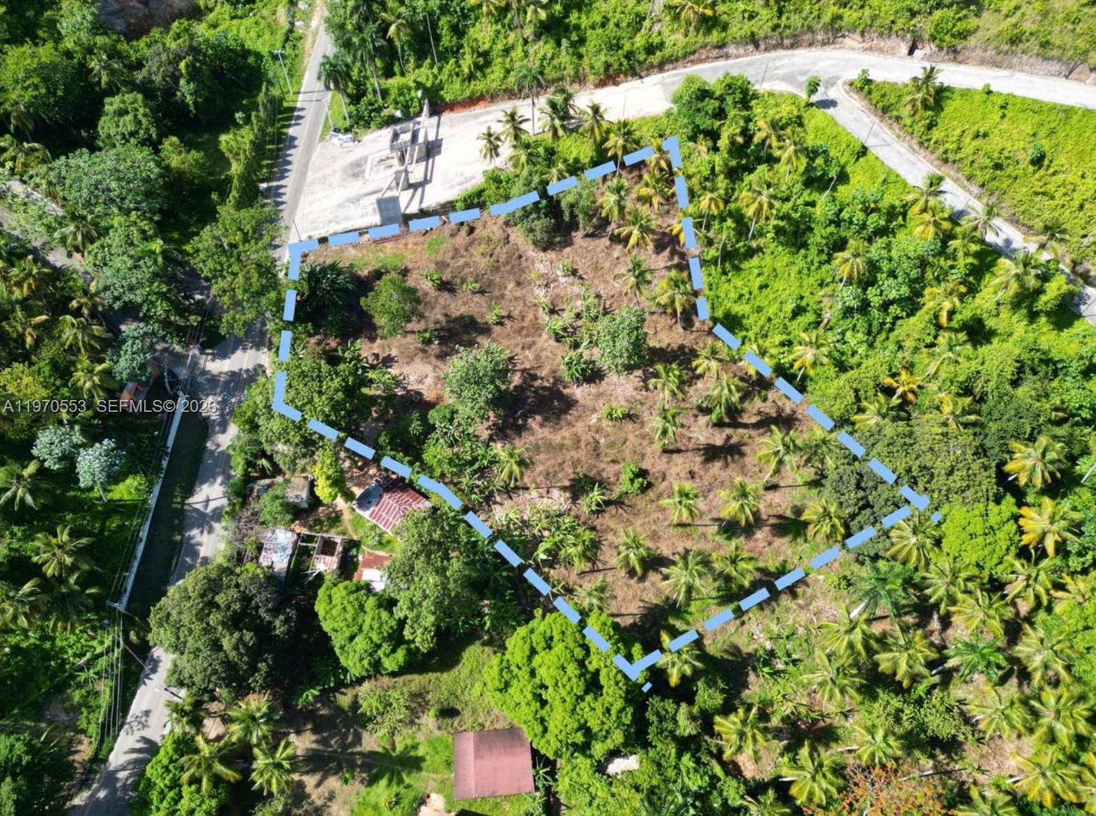An aerial view shows a vacant, irregularly shaped plot of land outlined in blue — 000 7CWM+V4G Las Terrenas, Dominican Republic, FL, FL