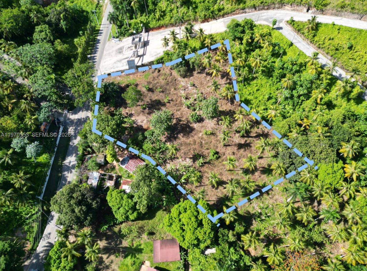 An aerial view shows a plot of land outlined in blue, surrounded by lush vegetation — 000 7CWM+V4G Las Terrenas, Dominican Republic, FL, FL