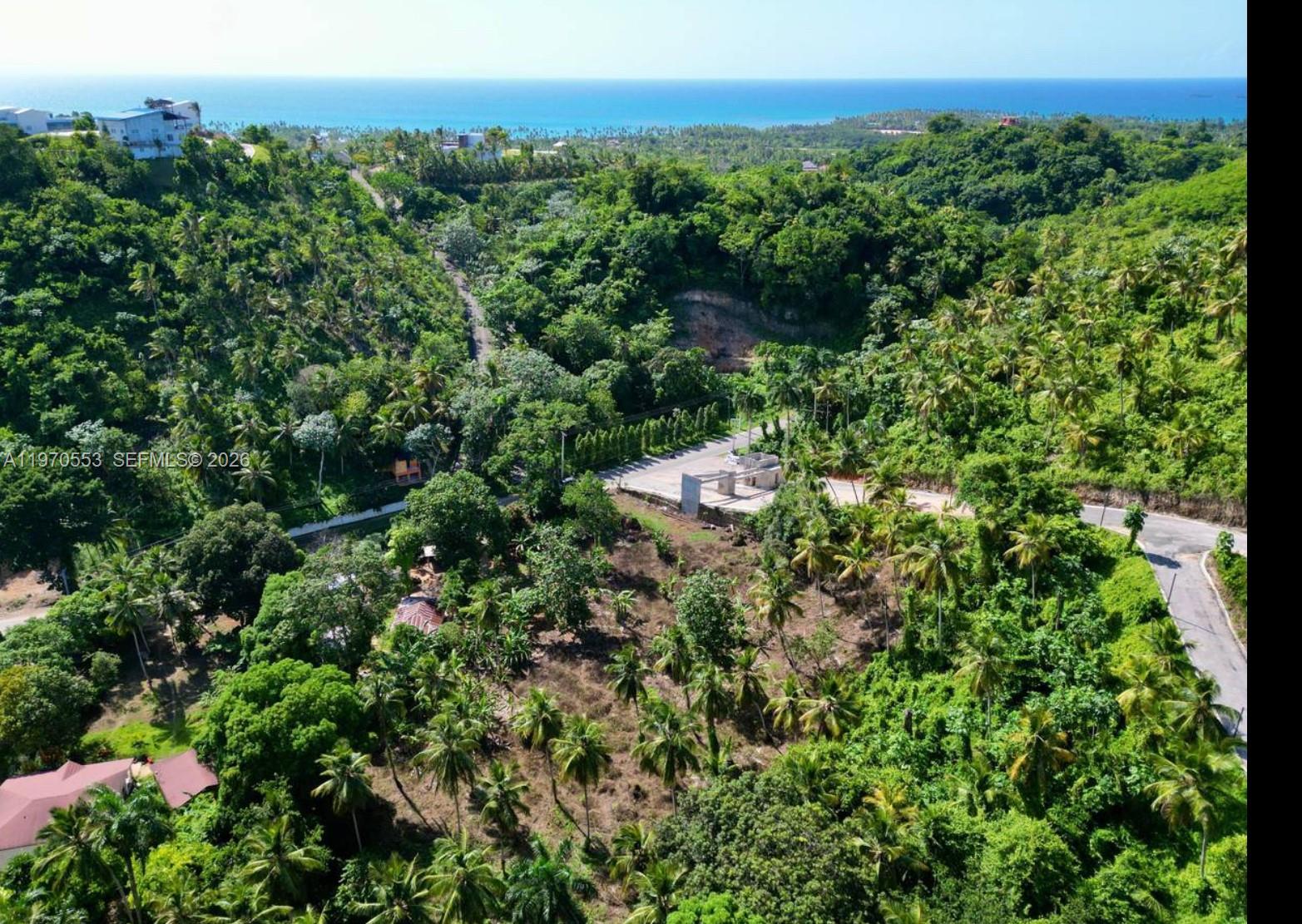 An aerial view shows a paved road leading to a gated entrance amidst lush tropical vegetation — 000 7CWM+V4G Las Terrenas, Dominican Republic, FL, FL
