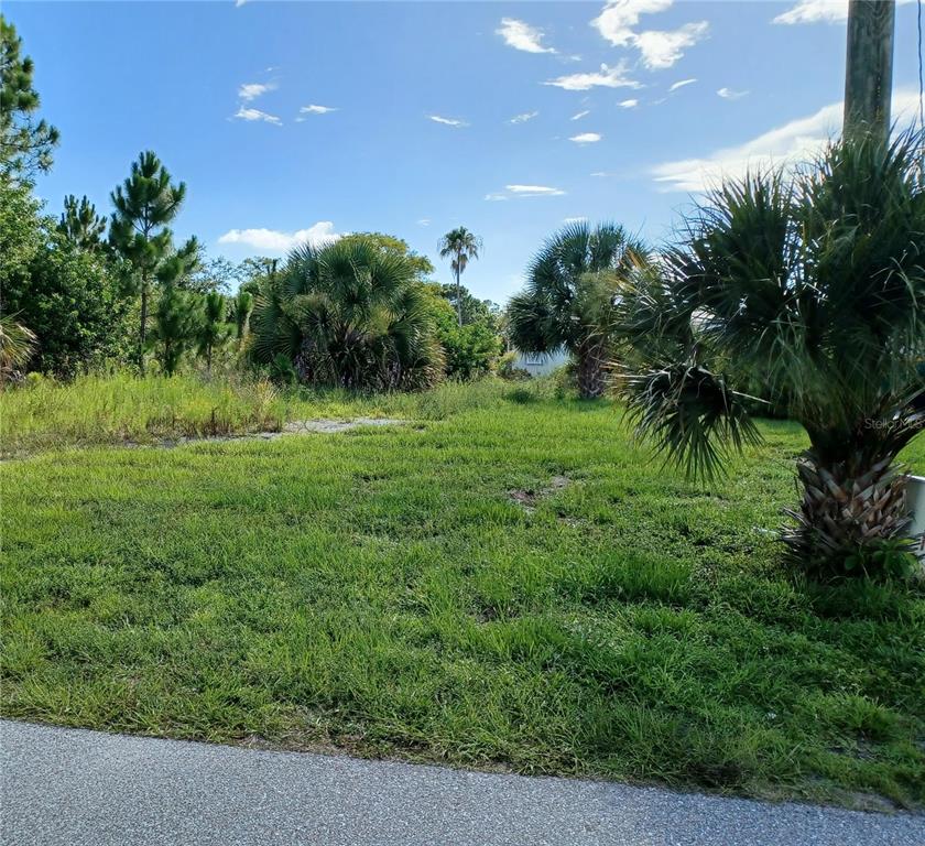 A grassy, undeveloped residential lot with scattered palm trees and vegetation under a blue sky — 4195 SPIRE STREET, PORT CHARLOTTE, FL
