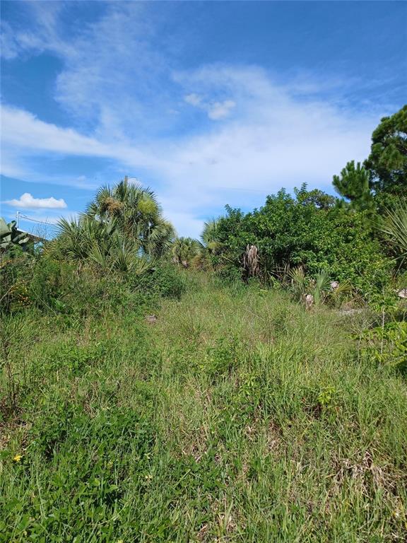 A grassy, undeveloped lot features scattered palm trees and dense vegetation under a blue sky — 4195 SPIRE STREET, PORT CHARLOTTE, FL