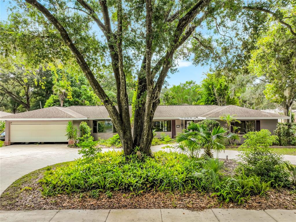 300 PINECREST ROAD, MOUNT DORA, FL — photo 2 of 30