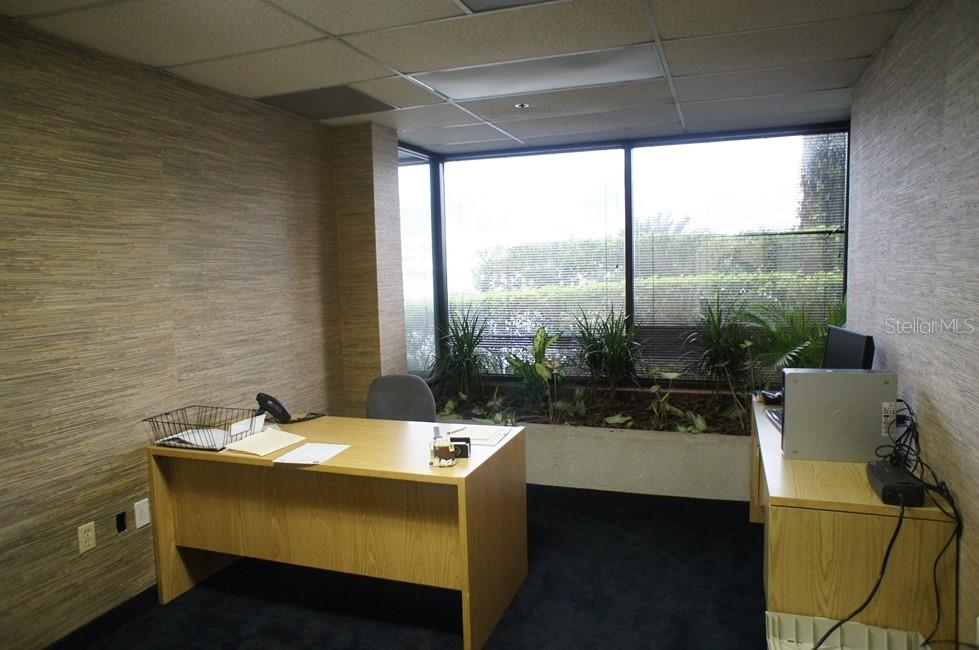 An office features light wood desks, textured wallpaper, dark carpeting, and a large windowed planter — 2101 STATE RD 434, LONGWOOD, FL