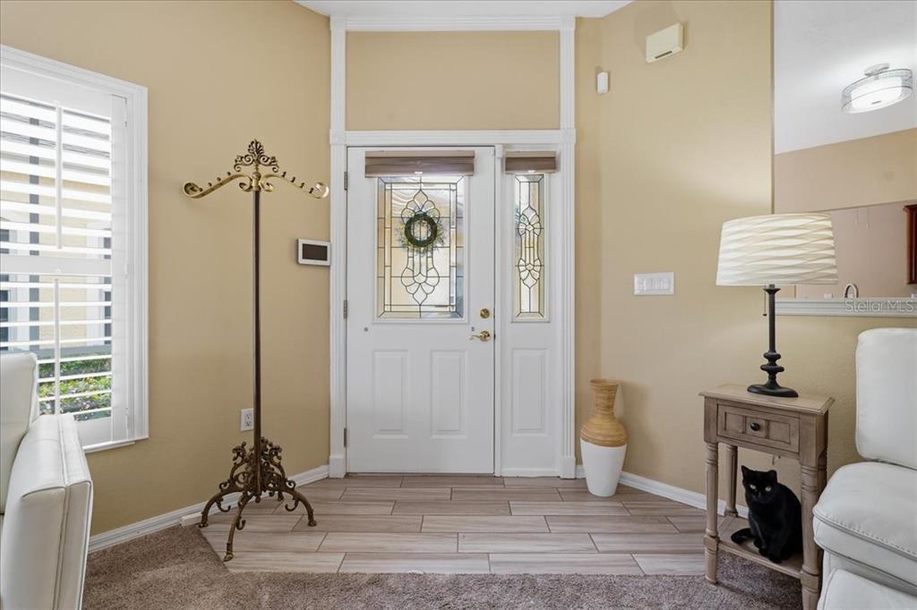 A foyer features a white front door with decorative glass, tile flooring, and a cat — 1171 ROYAL BOULEVARD, PALM HARBOR, FL