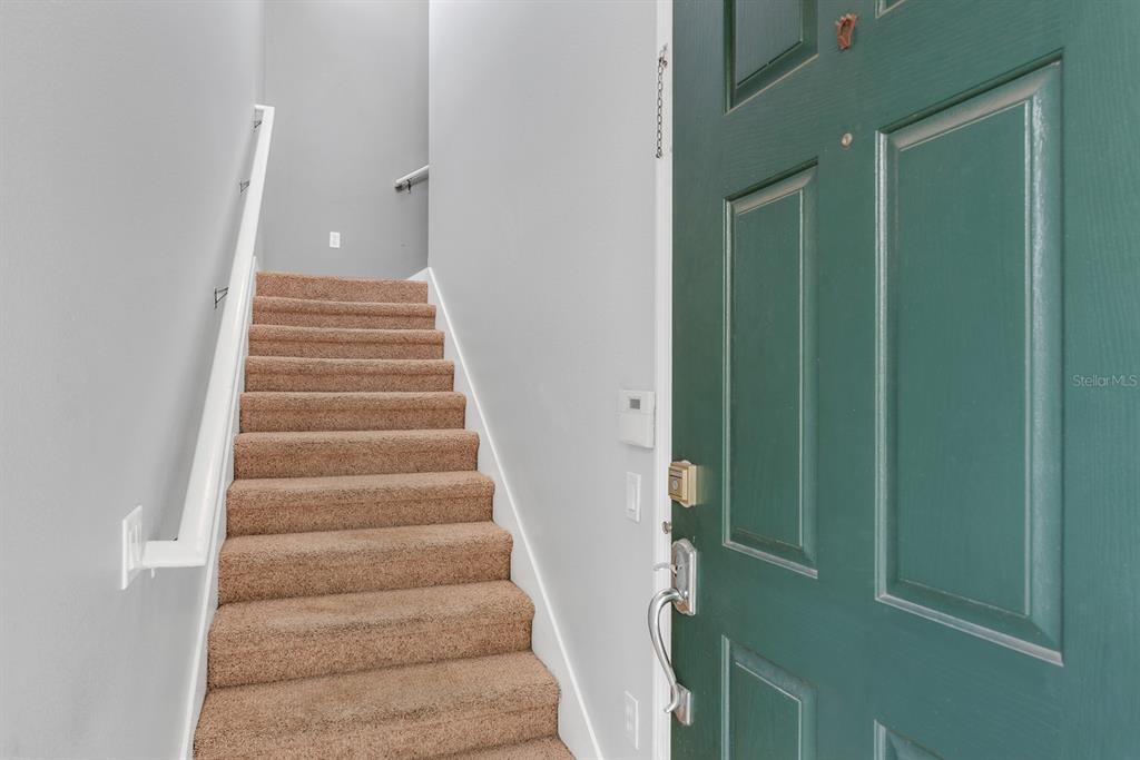A carpeted staircase leads upward next to a green front door in an entryway — 2223 KINGS PALACE DRIVE UNIT 00, RIVERVIEW, FL