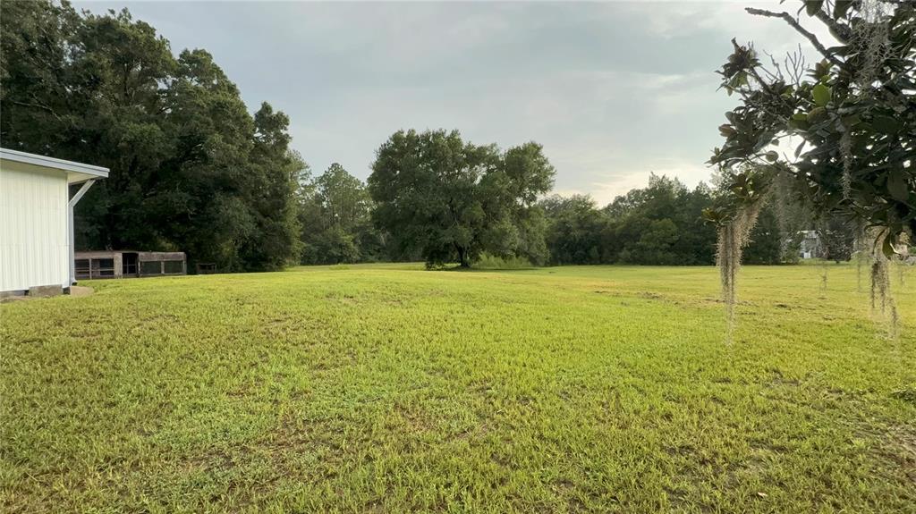 A large, grassy backyard features a white building on the left and mature trees beyond — 1051 HAWTHORN STREET, ZEPHYRHILLS, FL