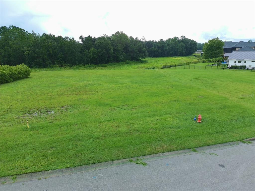 A vacant, grassy residential lot sits adjacent to a paved road and wooded area — CYPRESS TRACE BOULEVARD, LAKELAND, FL