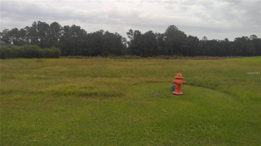 A street sign for Cypress Trace Boulevard stands at a corner near an empty grassy lot — CYPRESS TRACE BOULEVARD, LAKELAND, FL