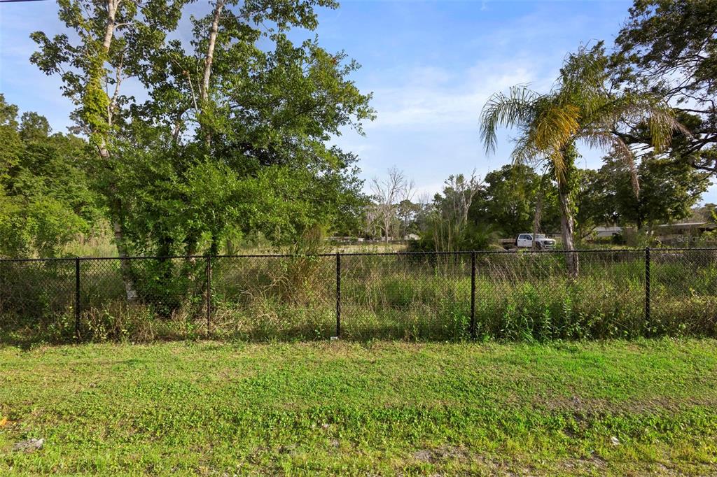 A chain-link fence separates a grassy foreground from a wooded, overgrown lot — 17520 EVANS TRAIL, ORLANDO, FL