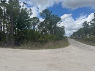 A dirt road curves past a wooded lot with pine trees and dense undergrowth — 29459 CLARA DRIVE, PUNTA GORDA, FL