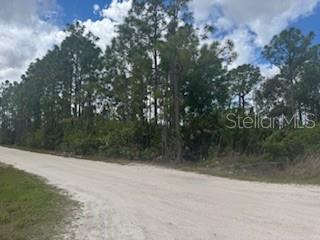 A dirt road runs alongside a wooded lot with tall pine trees under a cloudy sky — 29459 CLARA DRIVE, PUNTA GORDA, FL
