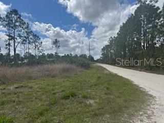 A dirt road runs alongside a grassy, undeveloped lot with scattered trees under a cloudy sky — 29459 CLARA DRIVE, PUNTA GORDA, FL