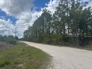 A dirt road runs alongside a line of pine trees under a cloudy blue sky — 29459 CLARA DRIVE, PUNTA GORDA, FL