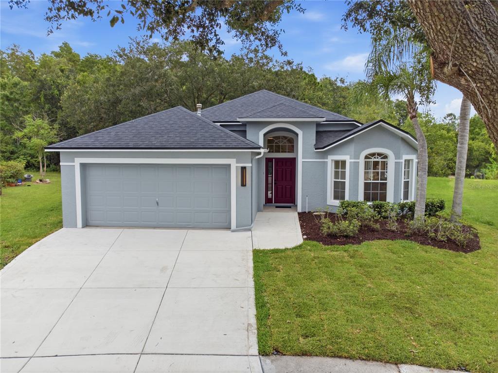 A single-story gray house with a two-car garage, dark roof, and a red front door — 6003 CHELLAS COURT, LUTZ, FL