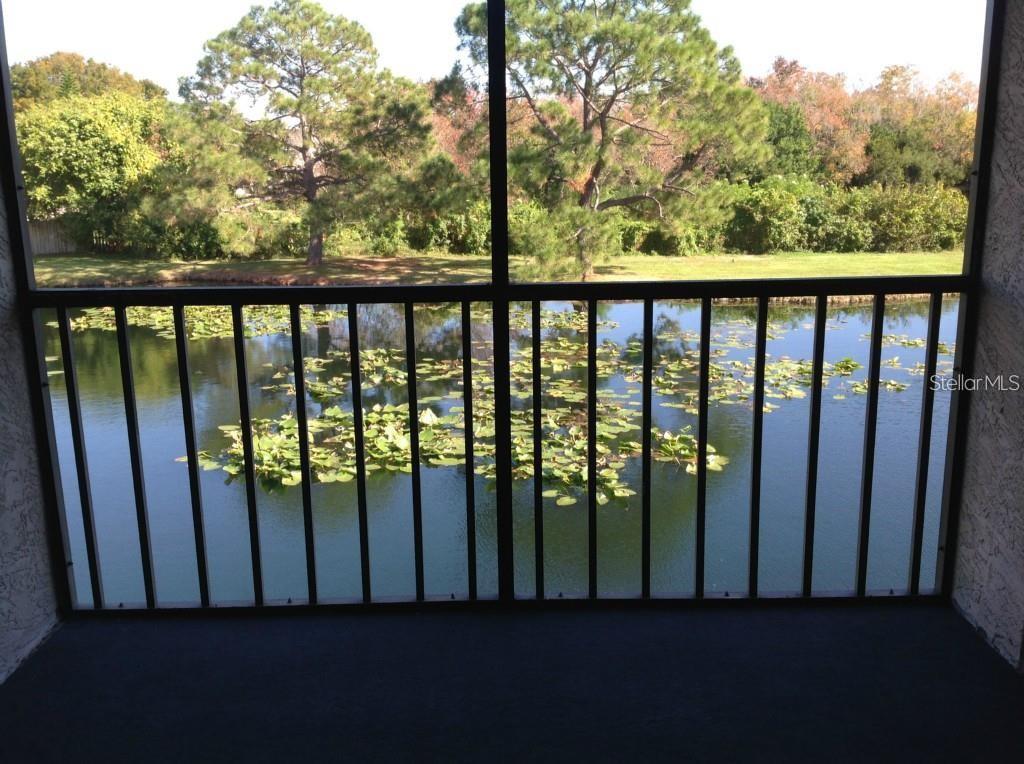A screened-in balcony overlooks a pond filled with lily pads and surrounding trees — 11201 122ND AVENUE UNIT L-232, LARGO, FL
