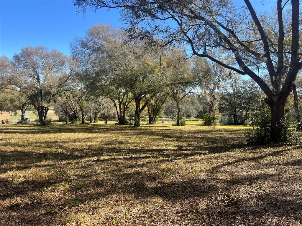 000 SE 118TH LANE, BELLEVIEW, FL — photo 5 of 13