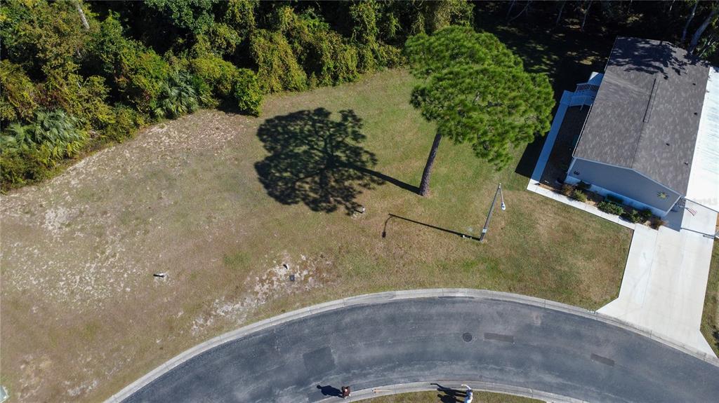 FOREST GLENN DRIVE, SPRING HILL, FL — photo 2 of 30